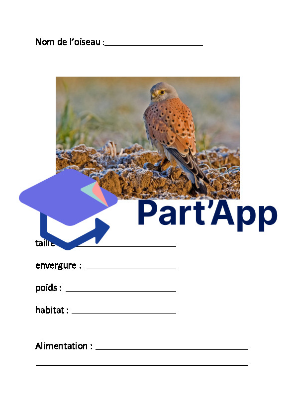 Les oiseaux_7