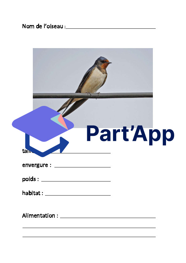 Les oiseaux_9