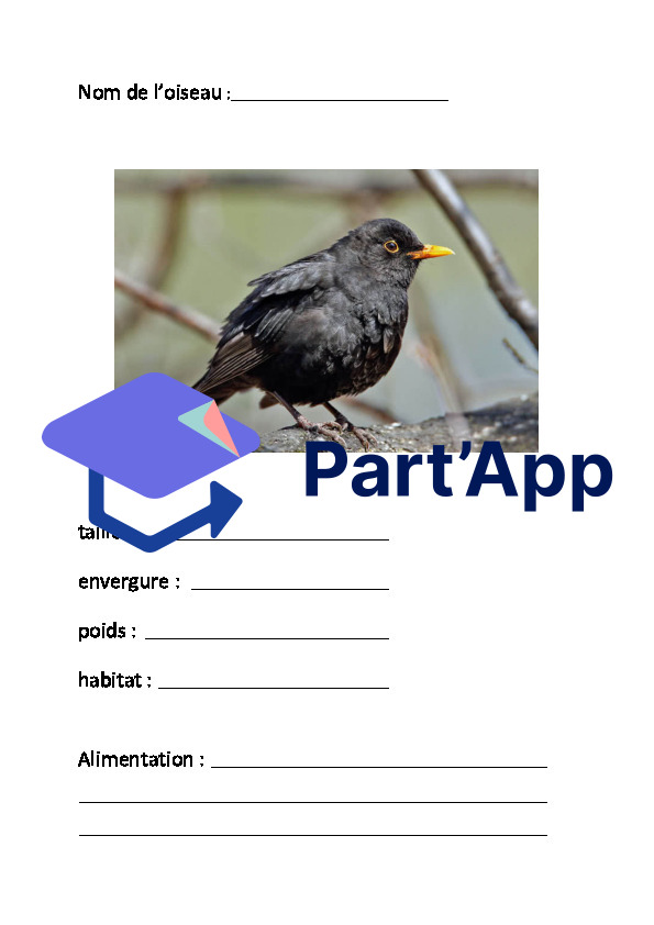 Les oiseaux_10