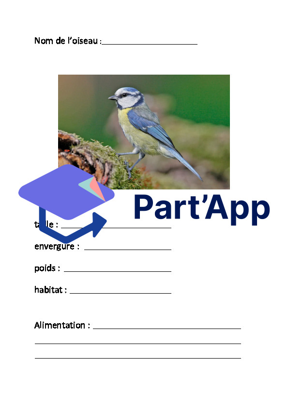 Les oiseaux_11