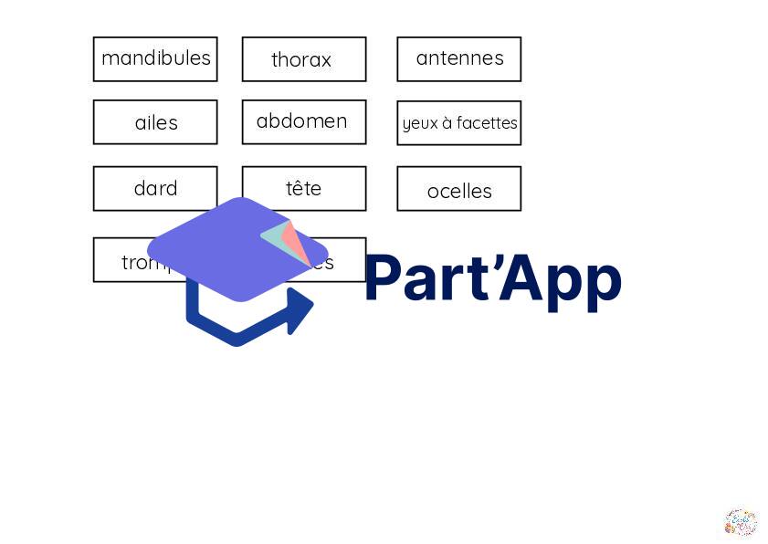 Jeu de plateau abeilles_7