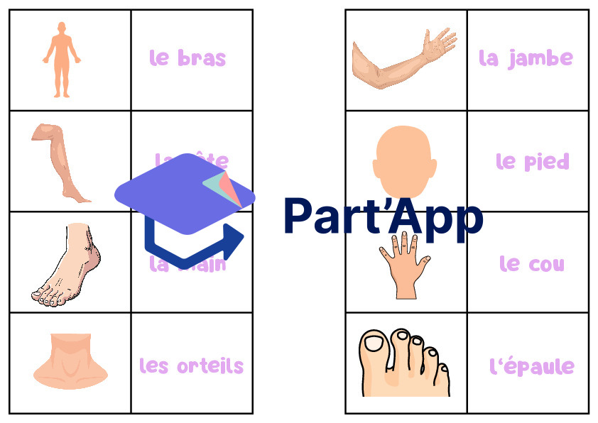 Domino des parties du corps humain_2