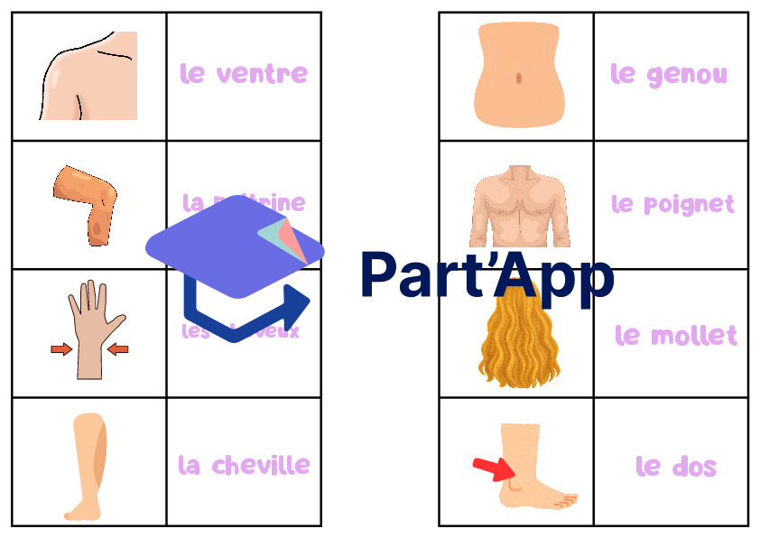 Domino des parties du corps humain_3