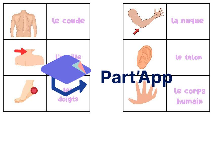 Domino des parties du corps humain_4