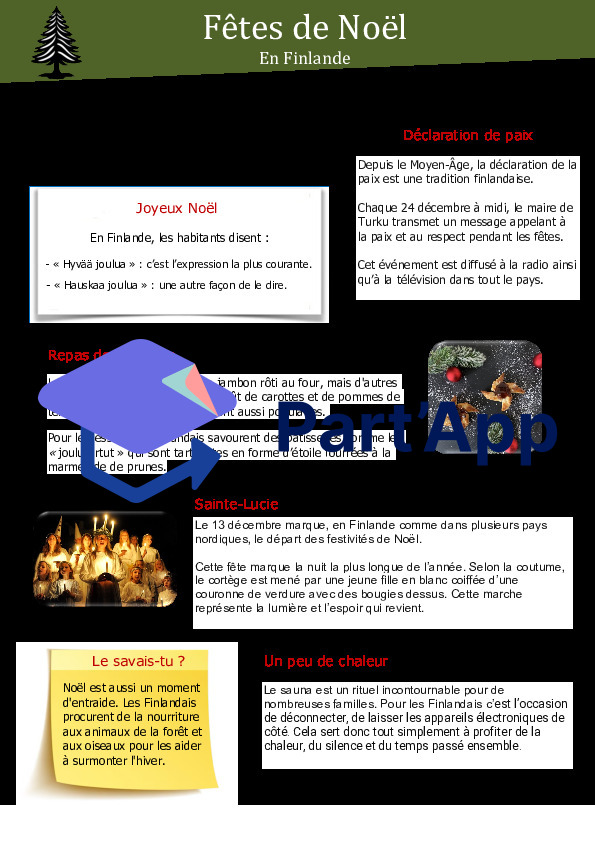 l'article encyclopédique selon MER les fêtes de Noël dans le monde_6