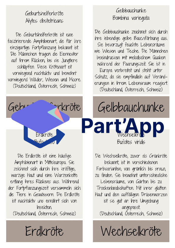 Amphibien - Lernkarten / Wissenskarten / Flashkarten_4