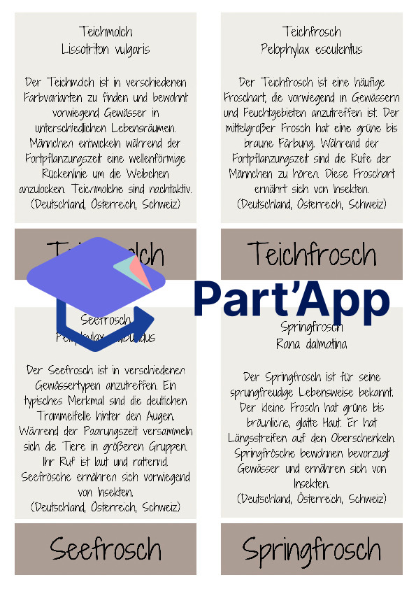 Amphibien - Lernkarten / Wissenskarten / Flashkarten_8