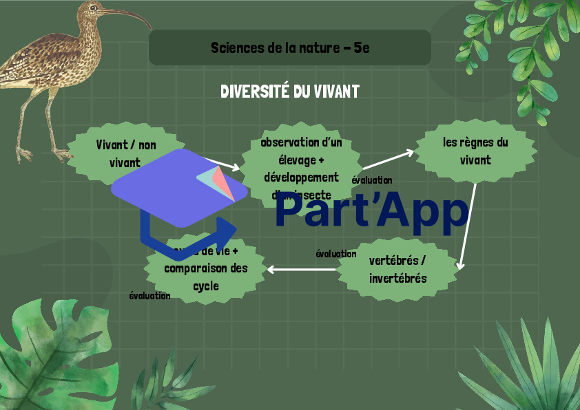 5e_Mindmap_SCN_2
