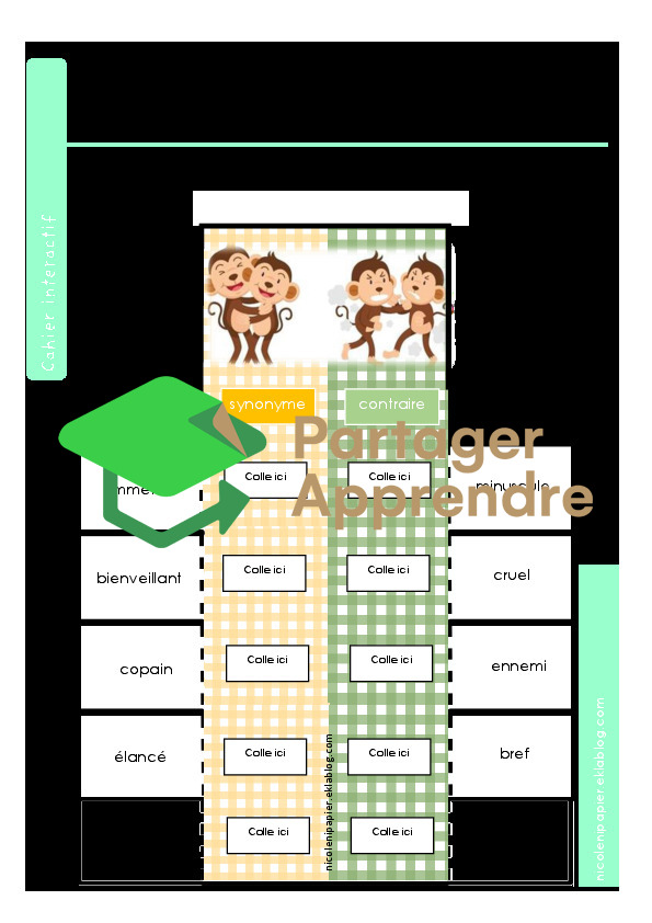 cahier interactif : synonymes et mots de sens contraire_2