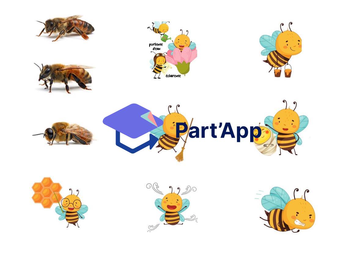Rôles et castes chez les abeilles_9