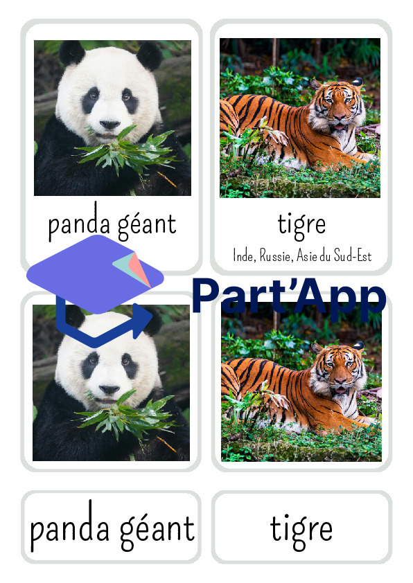 Référentiel des animaux d'Asie_2