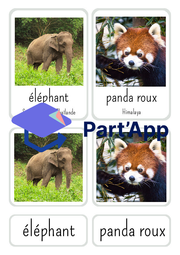 Référentiel des animaux d'Asie_3