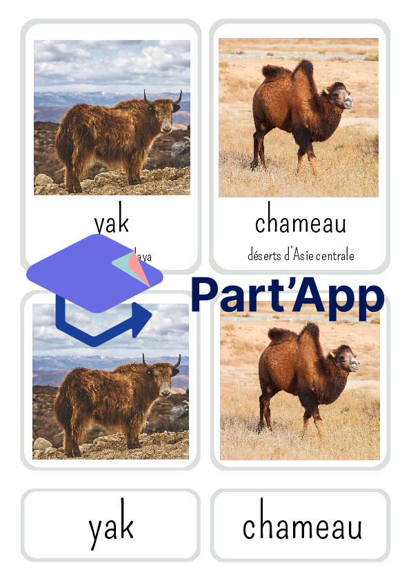 Référentiel des animaux d'Asie_4