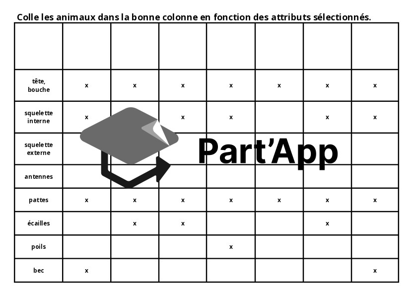 classification des êtres vivants_7