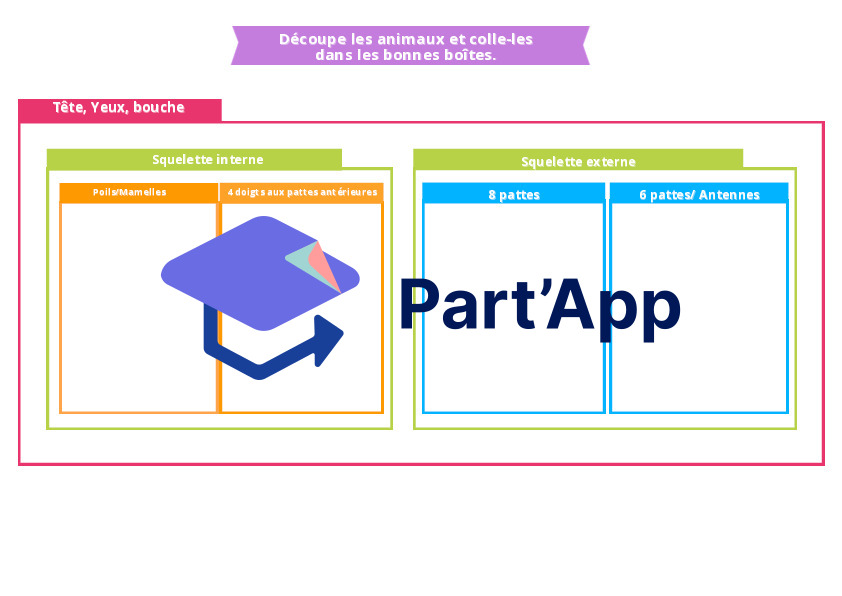 classification des êtres vivants_10