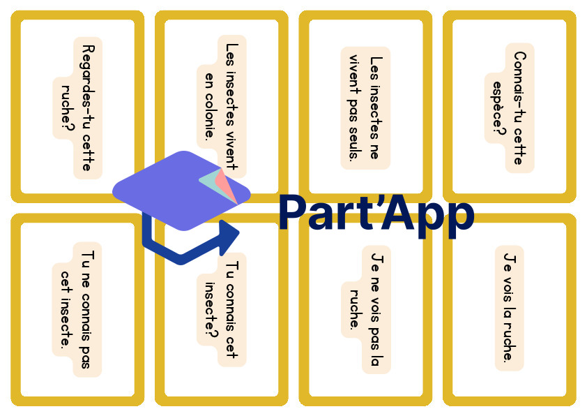 Fr 6P - Module 6 - Jeu grammaire types et formes de phrase_10