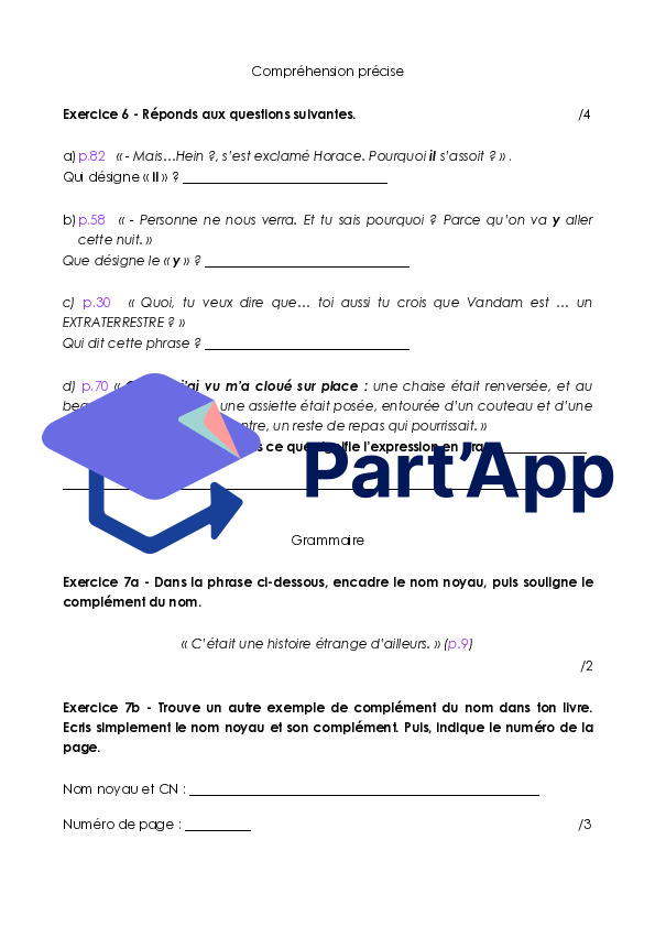 Test Compréhension de l'écrit - Le mystère de Vandam Pishar_5