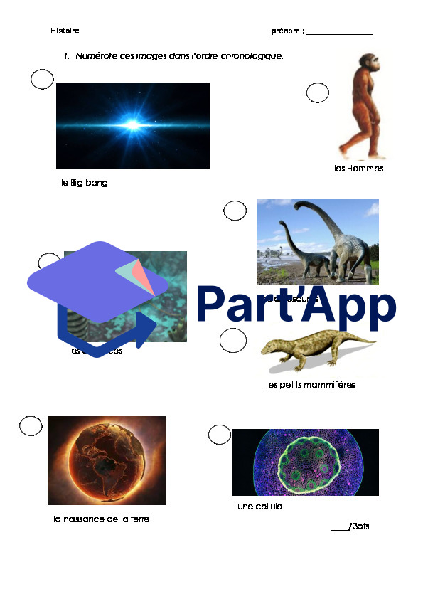 TS Paléolithique_10
