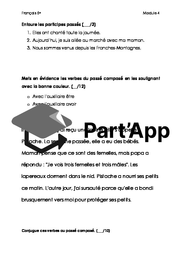 Evaluation de français 6e année Module 4 conj + voc_3
