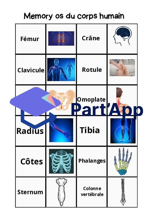 Memory os du corps humain_2