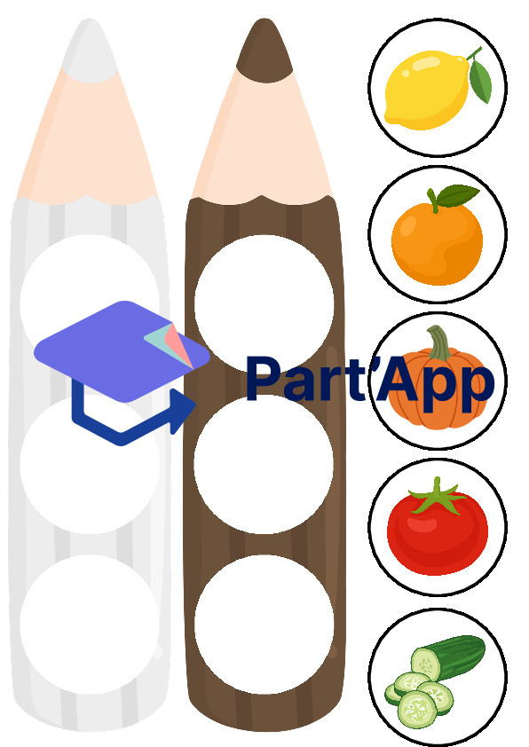 Atelier Tri des Couleurs - Crayon & Pastilles d'Images (1H-2H / PER)_5