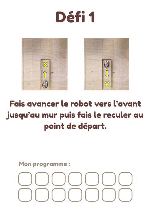 Cahier des défis - Bluebot_2