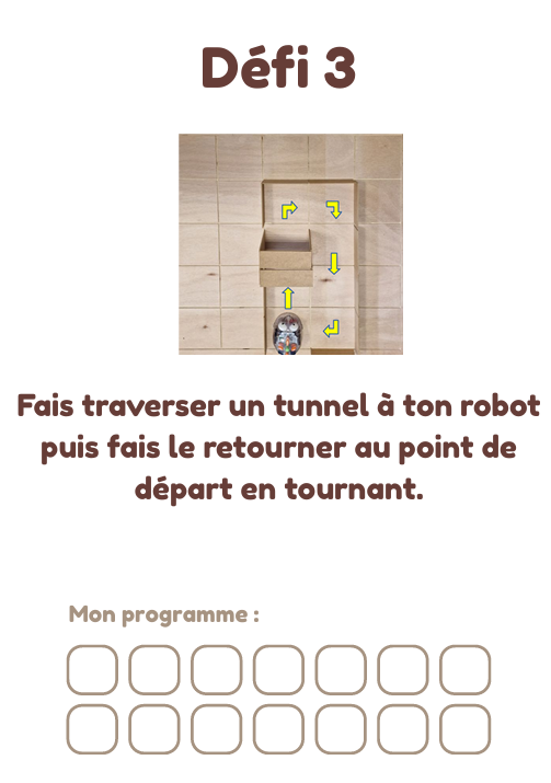 Cahier des défis - Bluebot_3