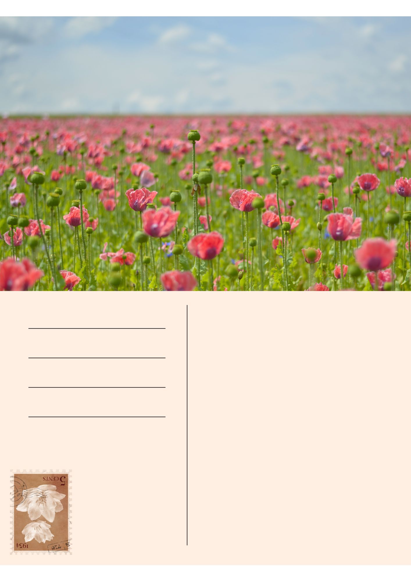 Cartes postales_17