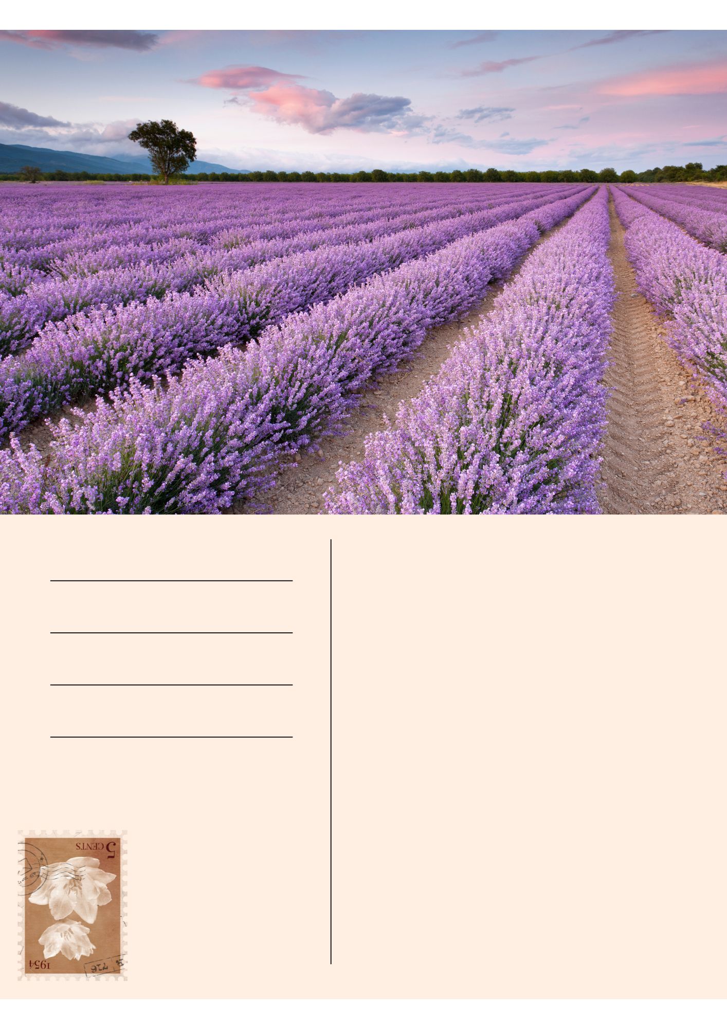 Cartes postales_20
