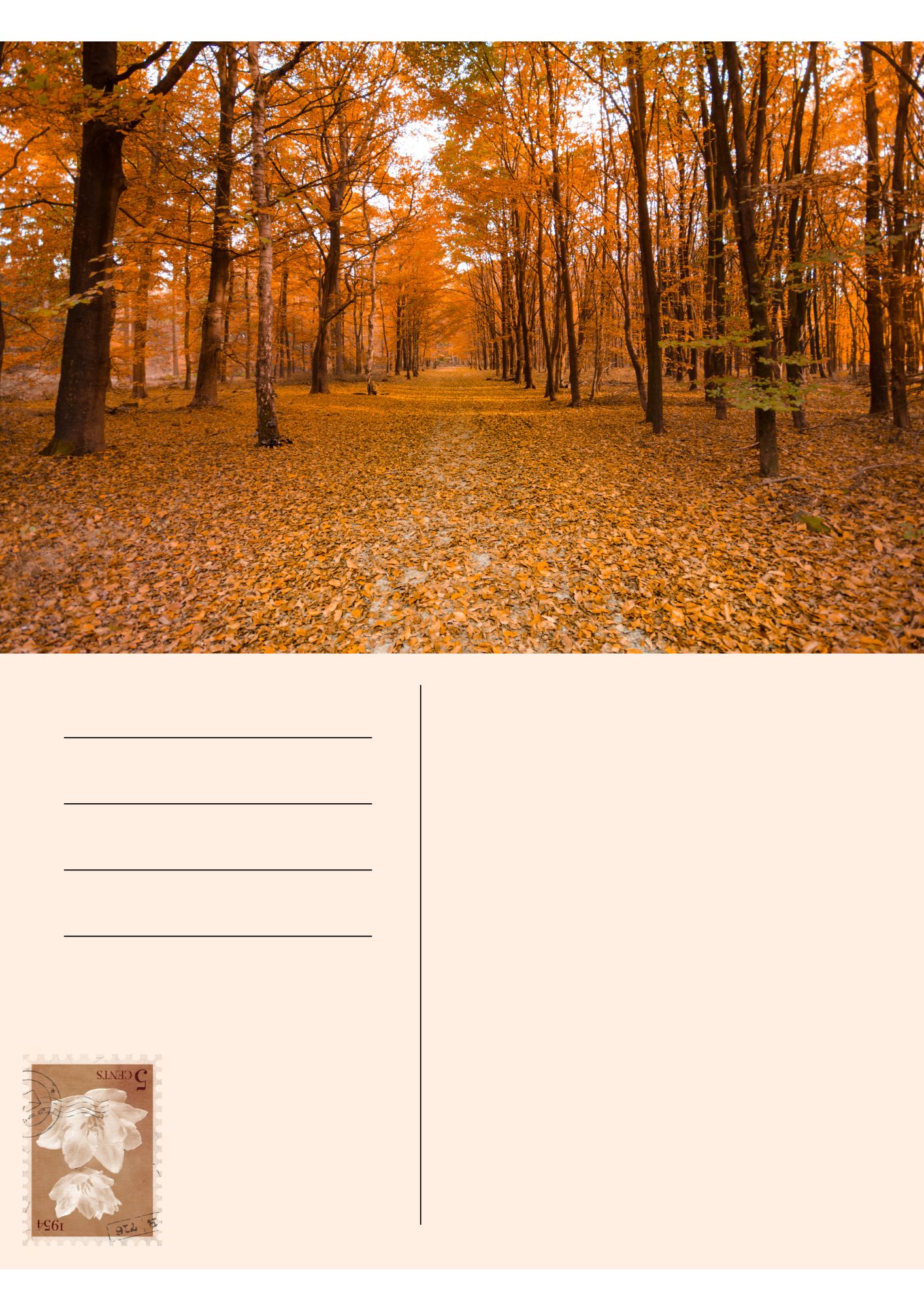 Cartes postales_9