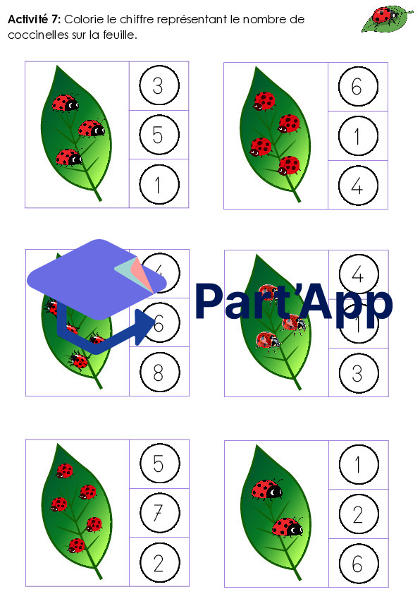 Dossier sur la coccinelle - 1P_9