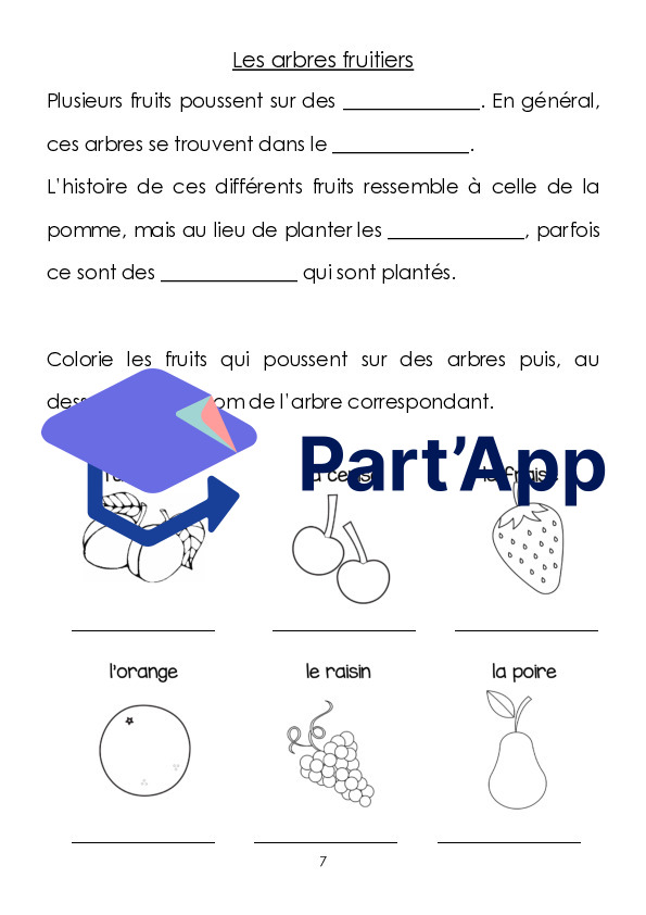 3-4H Dossier sur la pomme_8