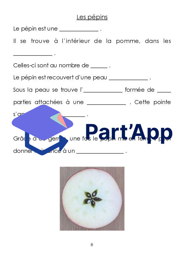 3-4H Dossier sur la pomme_9