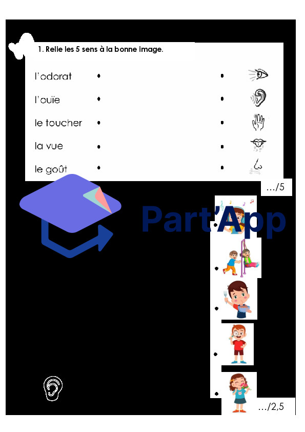 Evaluation 5 sens 3P_3
