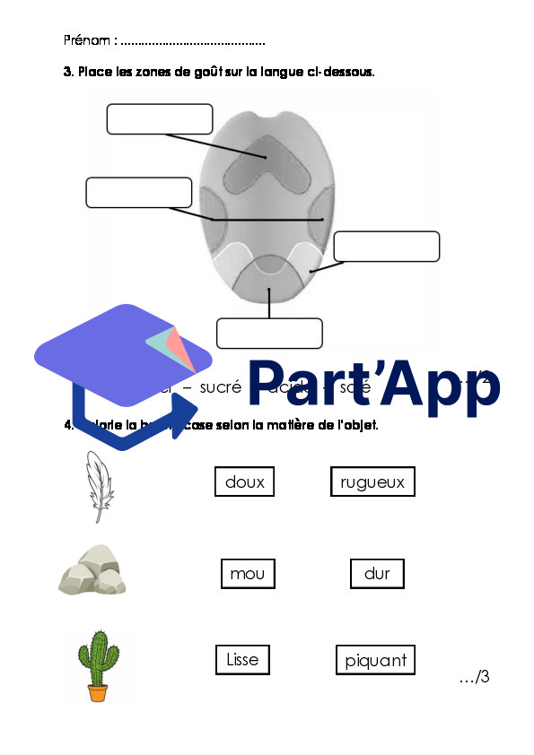 Evaluation 5 sens 3P_4