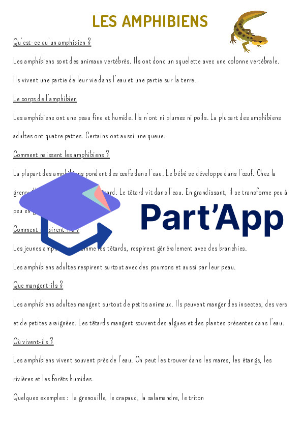 Fiches d’aide pour faire des exposés sur les groupes d’animaux_3