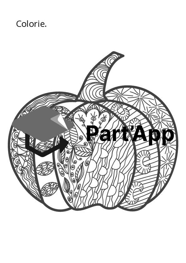 Dossier automne - 4P_9