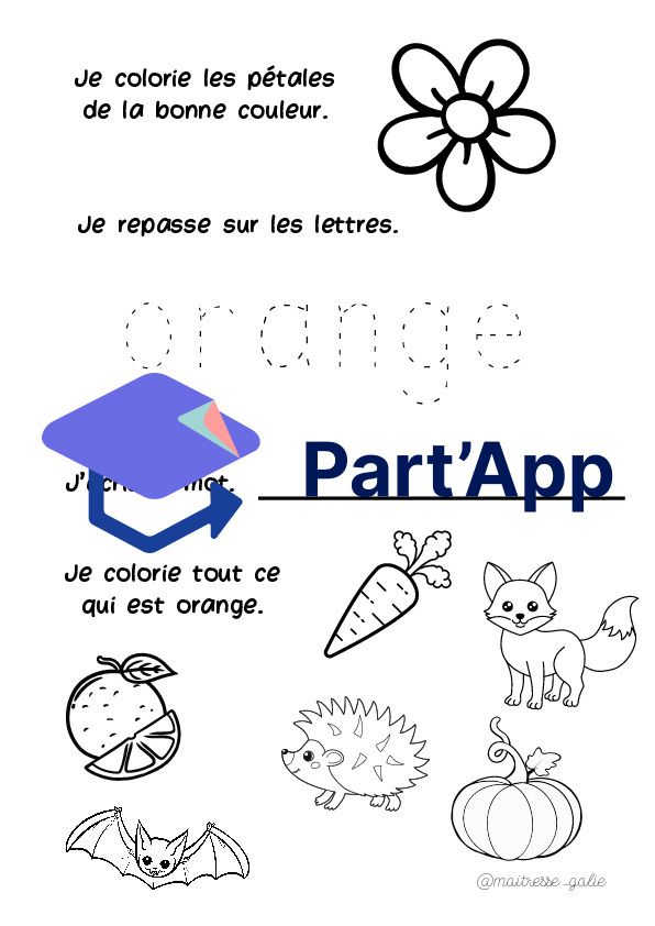 Cahier des couleurs_5