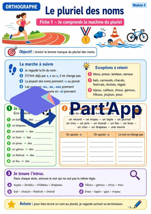 Orthographe 7H – Module 4 : le pluriel des noms_4