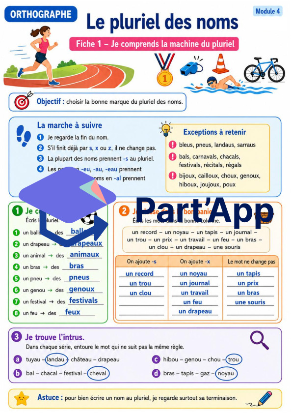 Orthographe 7H – Module 4 : le pluriel des noms_5