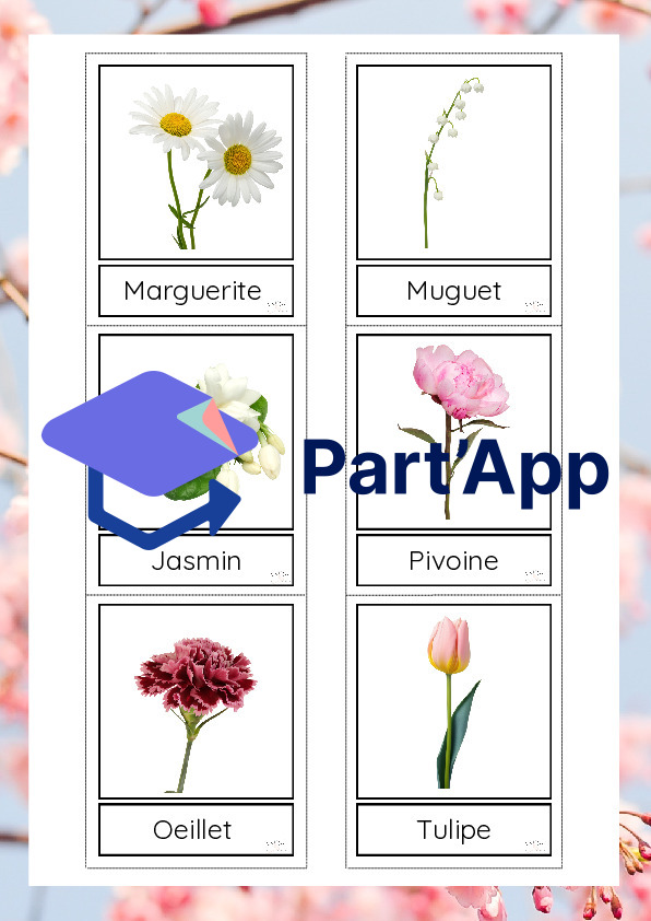 Les fleurs du printemps_2