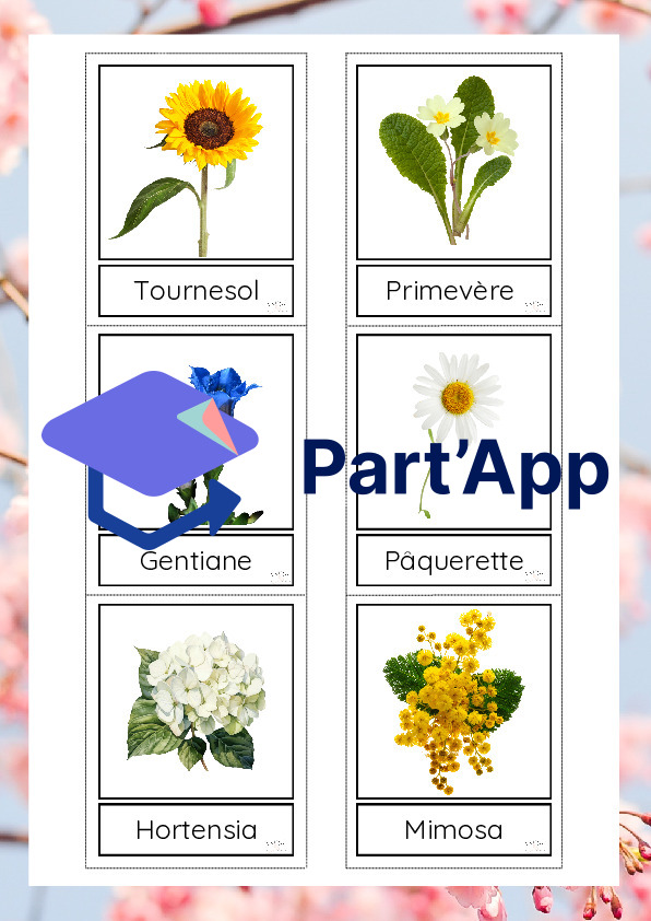 Les fleurs du printemps_4