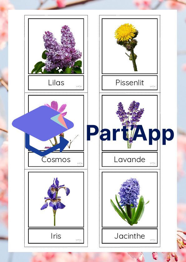 Les fleurs du printemps_5