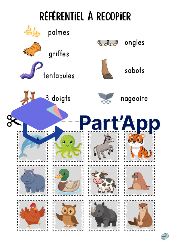 Classification des animaux | par types de pattes_4