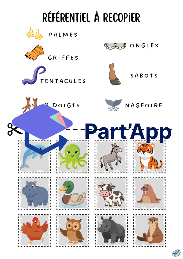 Classification des animaux | par types de pattes_5