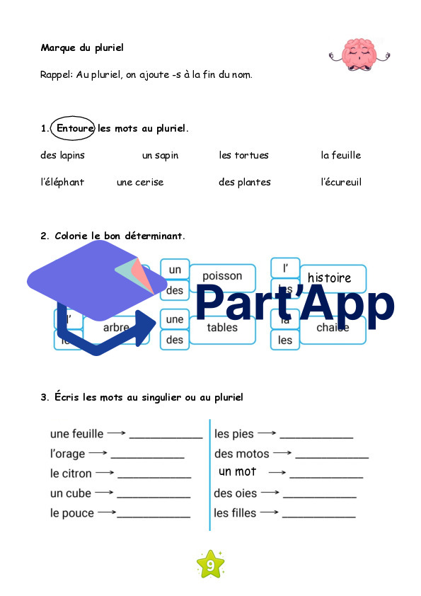 Révision du fonctionnement de la langue 4P_11