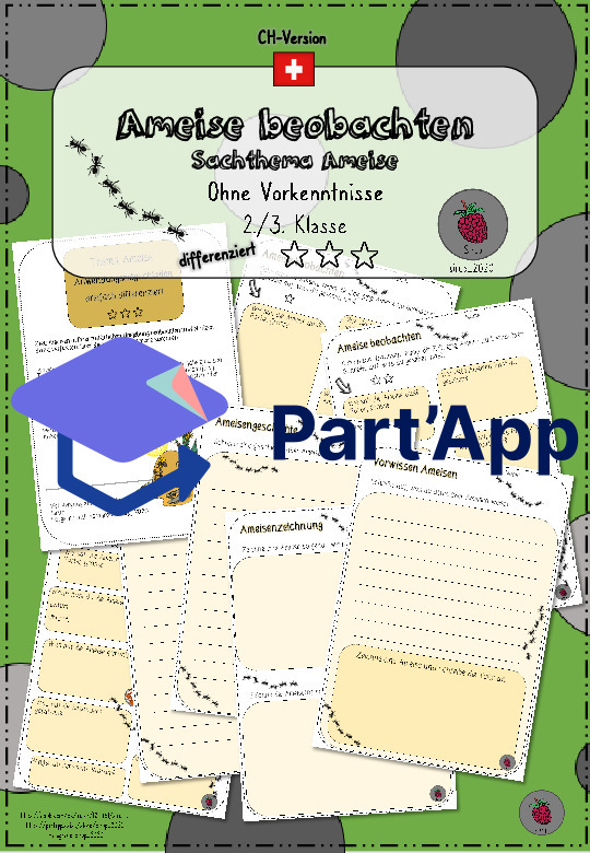Ameise beobachten_CH-Version_2