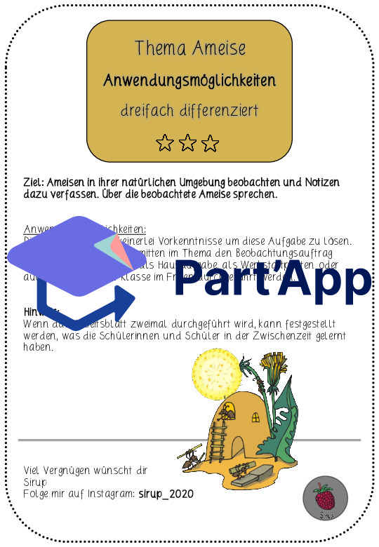 Ameise beobachten_CH-Version_3