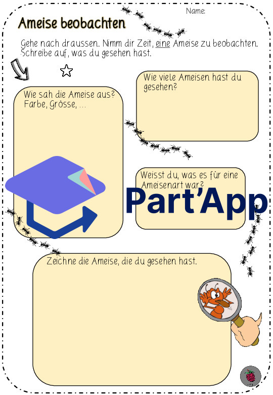Ameise beobachten_CH-Version_4