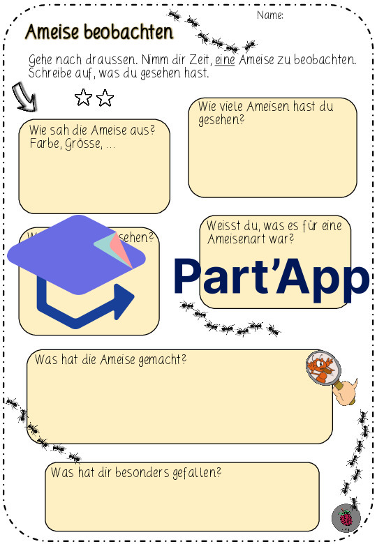 Ameise beobachten_CH-Version_5
